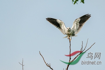 DSC04862 - ����.jpg