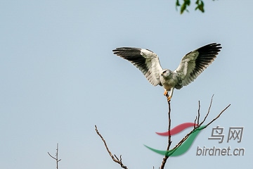 DSC04864 - ���� - ����.jpg