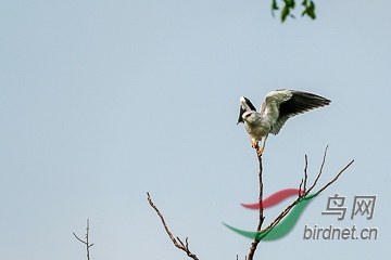 DSC04871 - ���� - ����.jpg