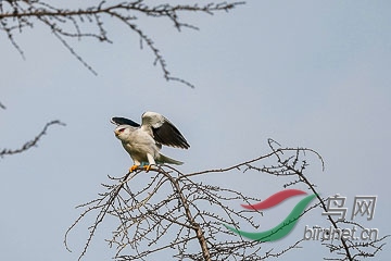 DSC05193 - ����.jpg