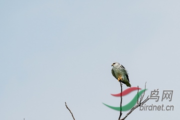 DSC04319 - ���� (2).jpg