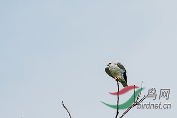 DSC04320 - ���� (2).jpg