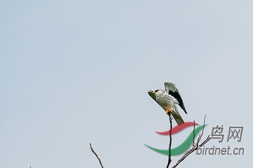 DSC04321 - ���� - ����.jpg