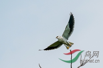 DSC04324 - ���� (2).jpg