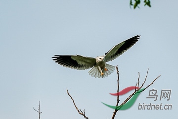 DSC04851 - ���� - ����.jpg