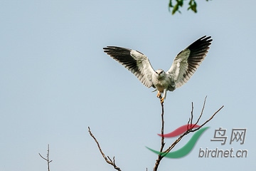 DSC04863 - ���� (2).jpg