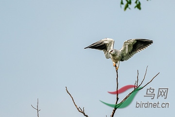 DSC04866 - ���� (2).jpg