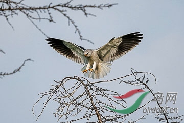 DSC05180 - ����.jpg