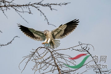 DSC05182 - ����.jpg