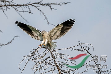 DSC05183 - ����.jpg