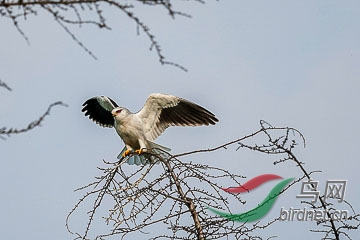 DSC05190 - ����.jpg