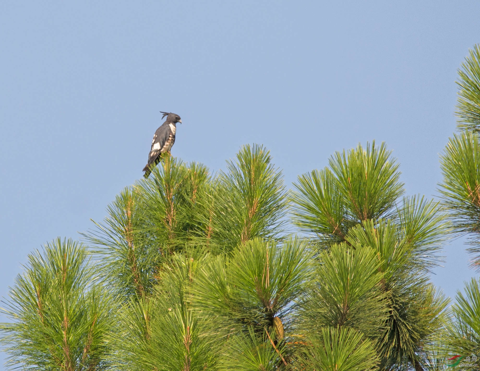 �ڹھ��� 125��