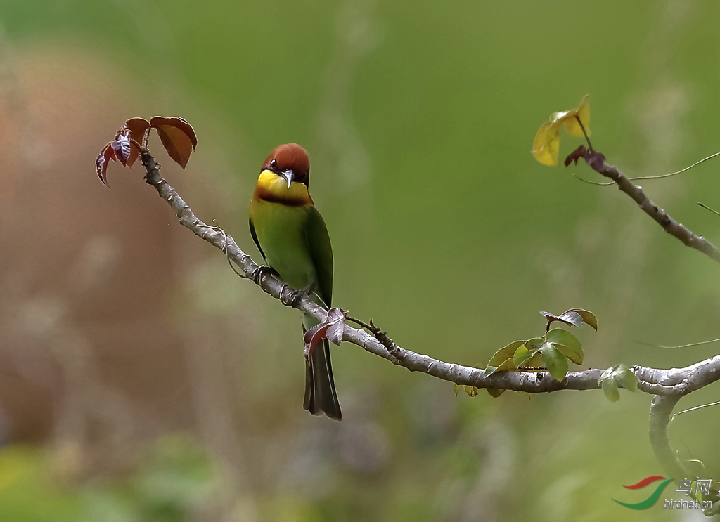 916A0028  01_����_����.jpg