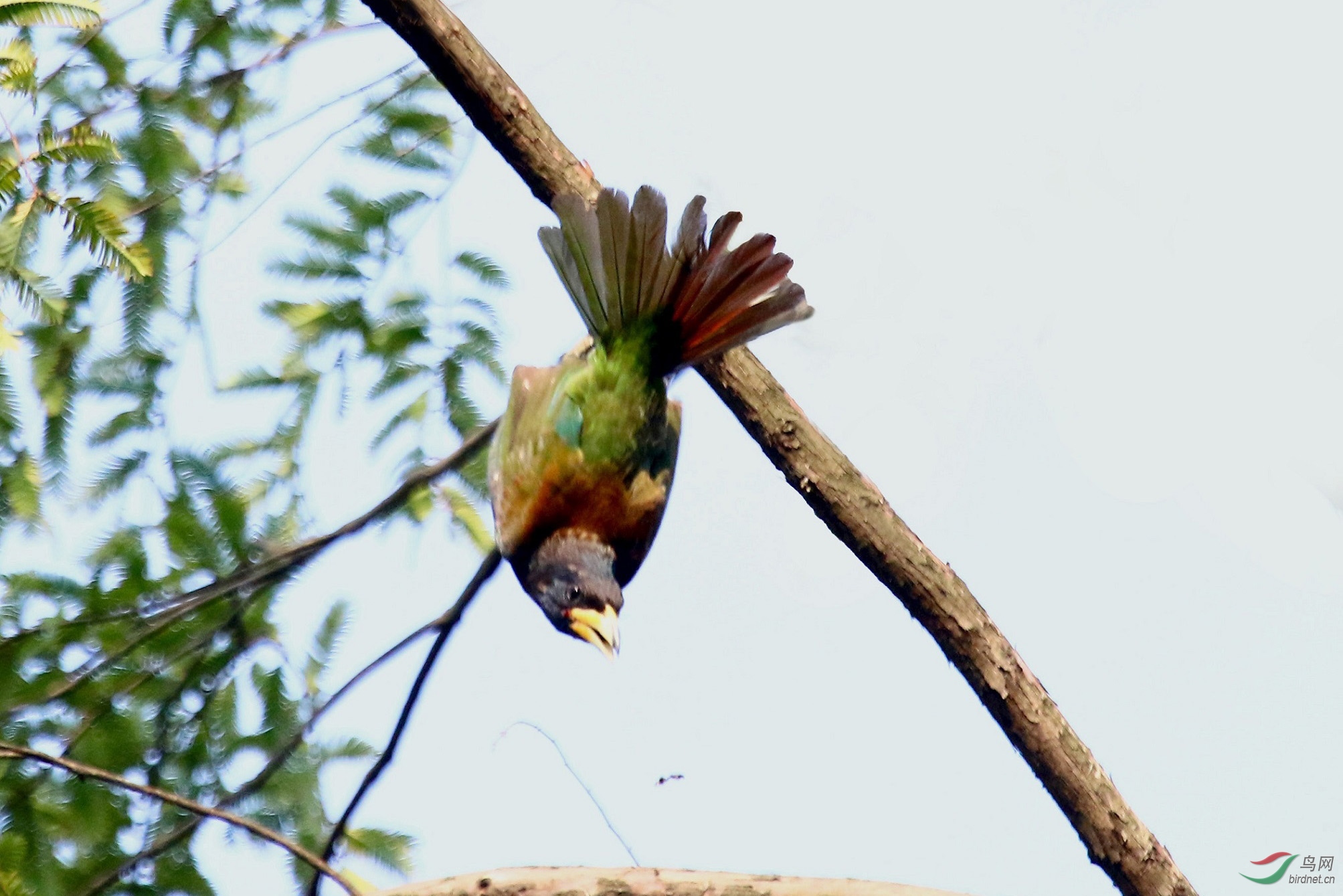 A33A2558 - ����.JPG