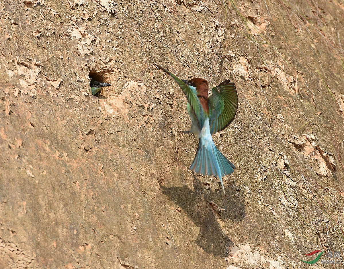 D8I_1658.jpg