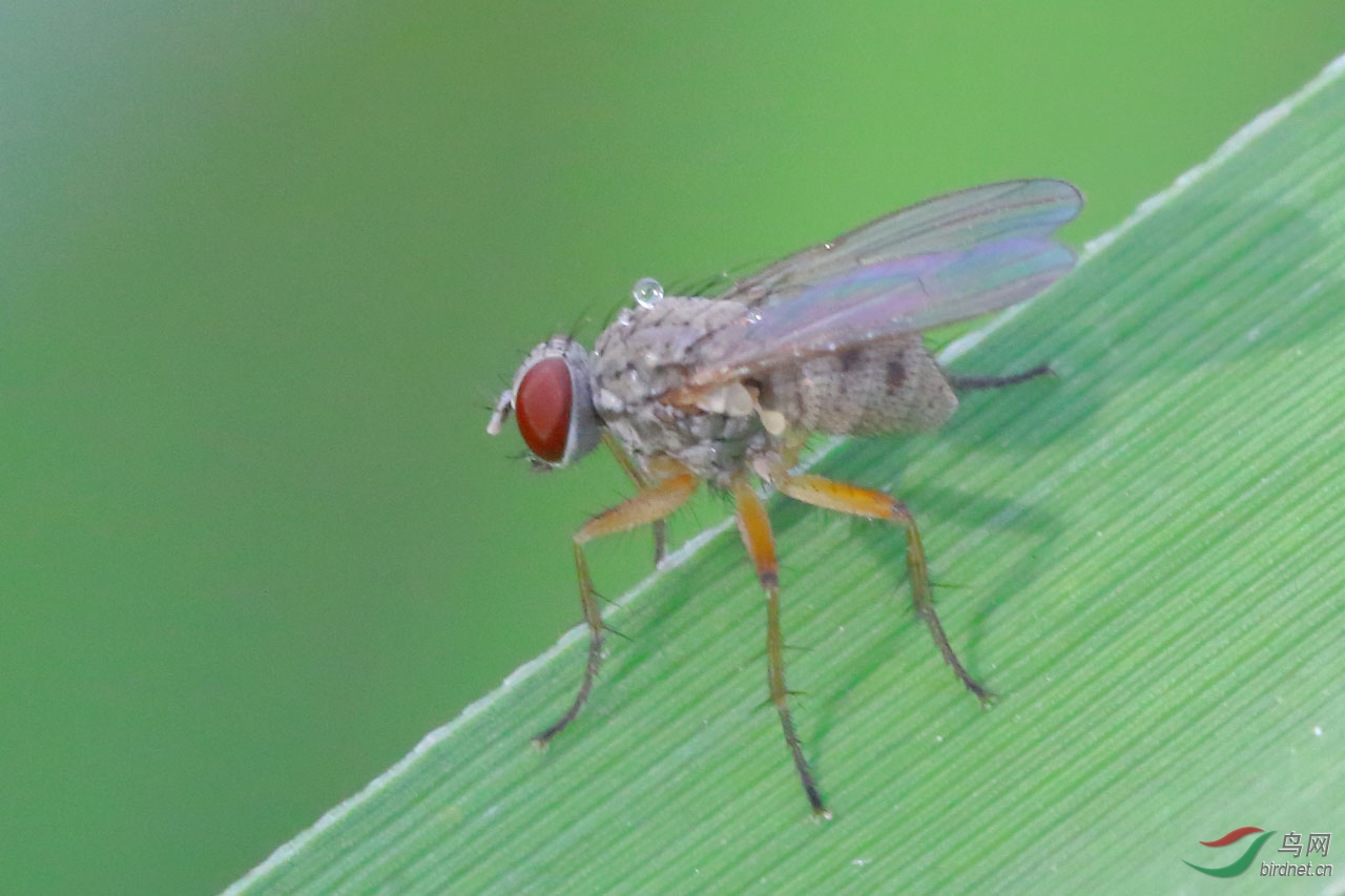aIMG_8959.JPG