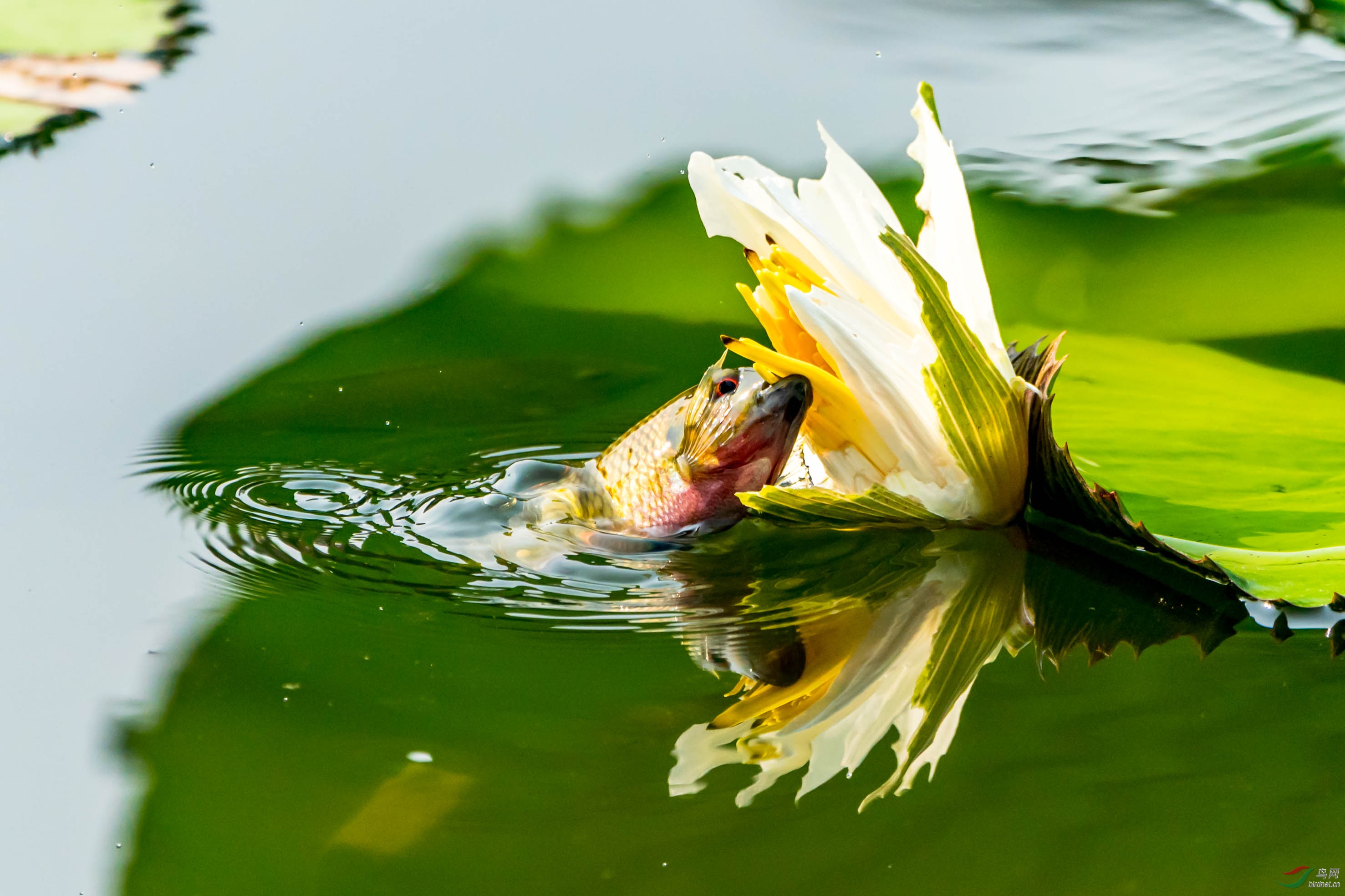 �������