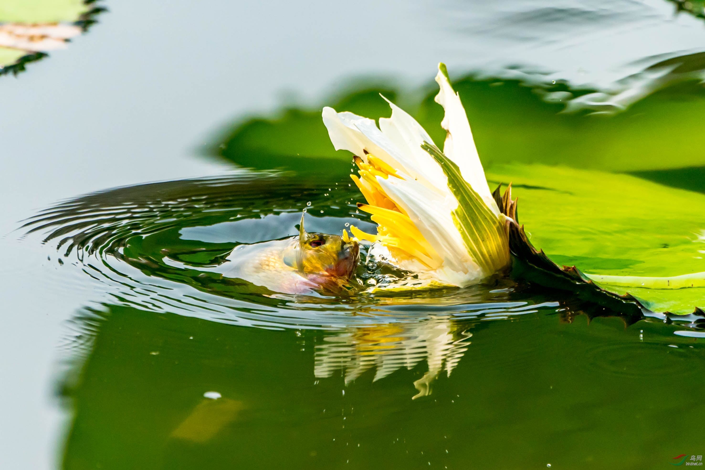 �������