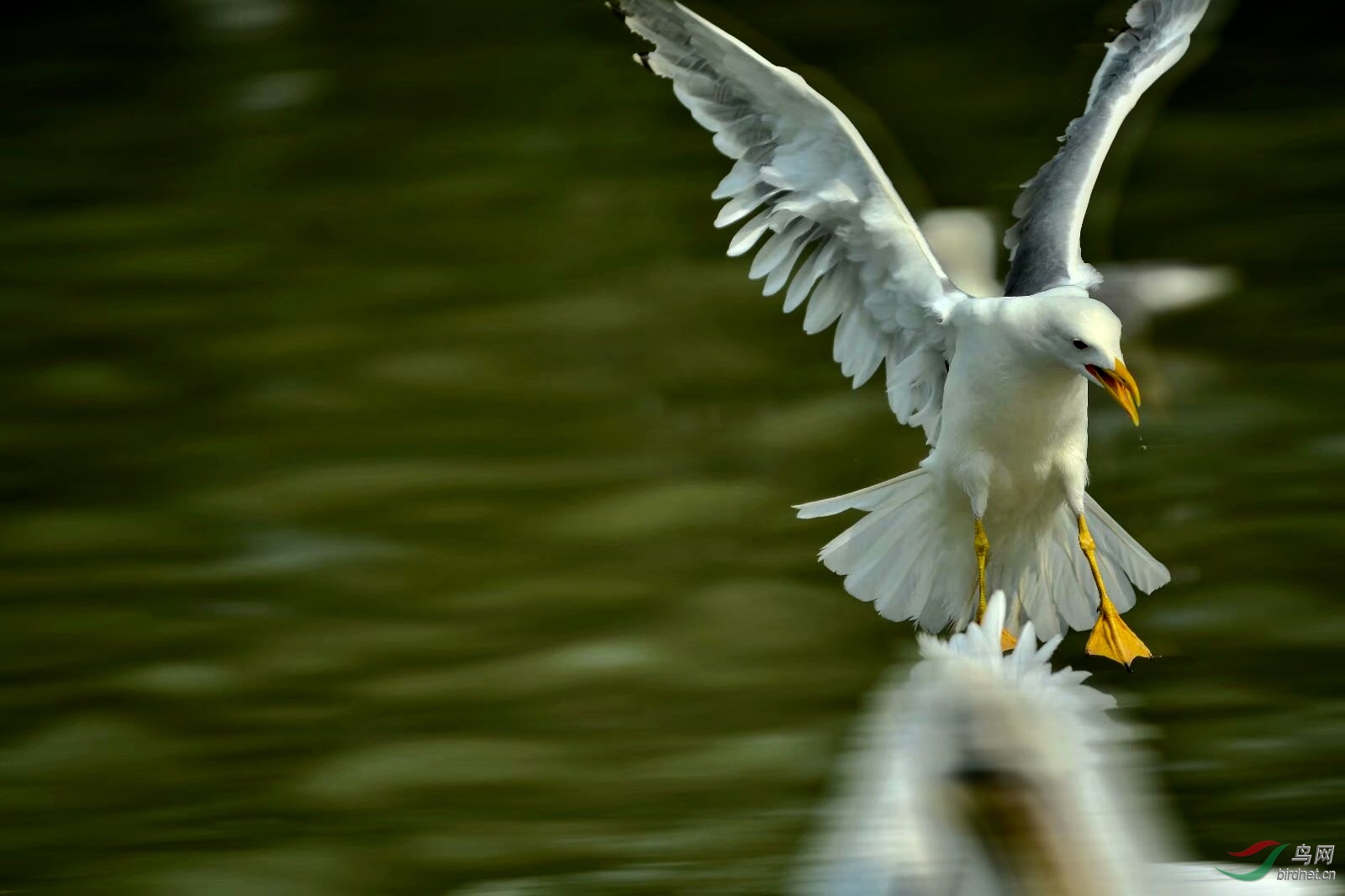 50366CF2-767F-4A05-9D2E-ED7B733B6E3F.jpeg