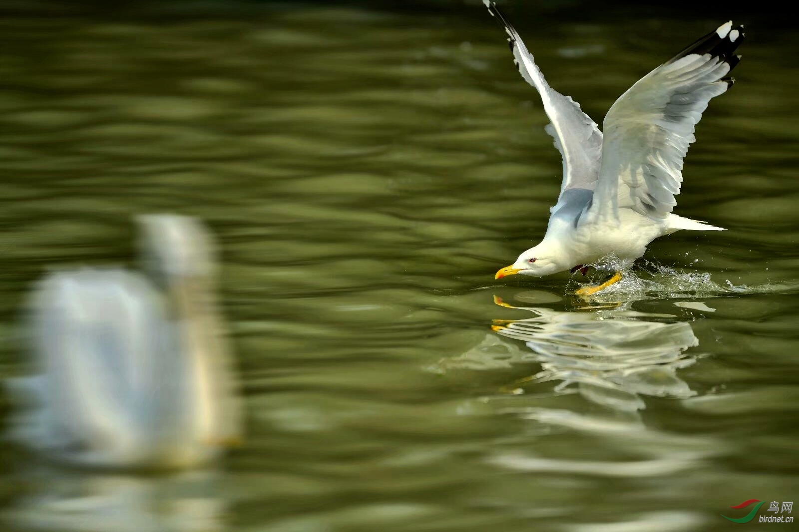 14E08DB1-DA7C-4585-A81C-15F490791C29.jpeg
