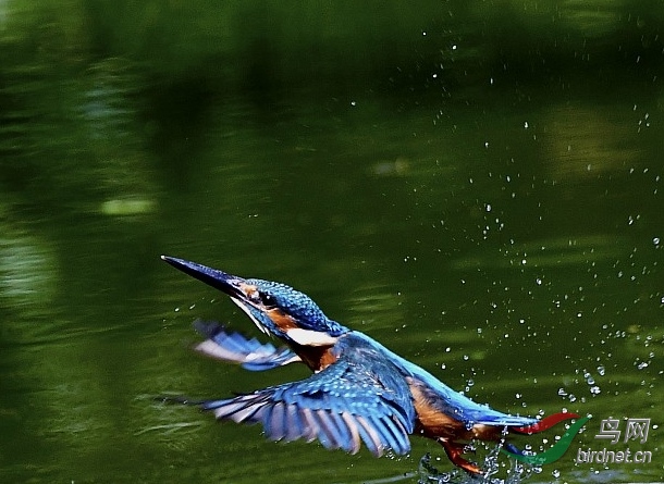 DSC_5405-1_conew2.jpg