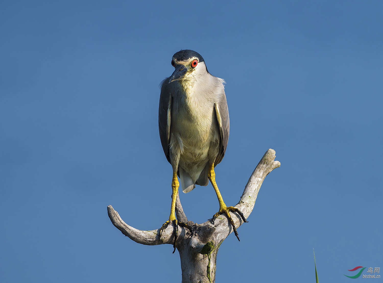 DSC_5203.jpg