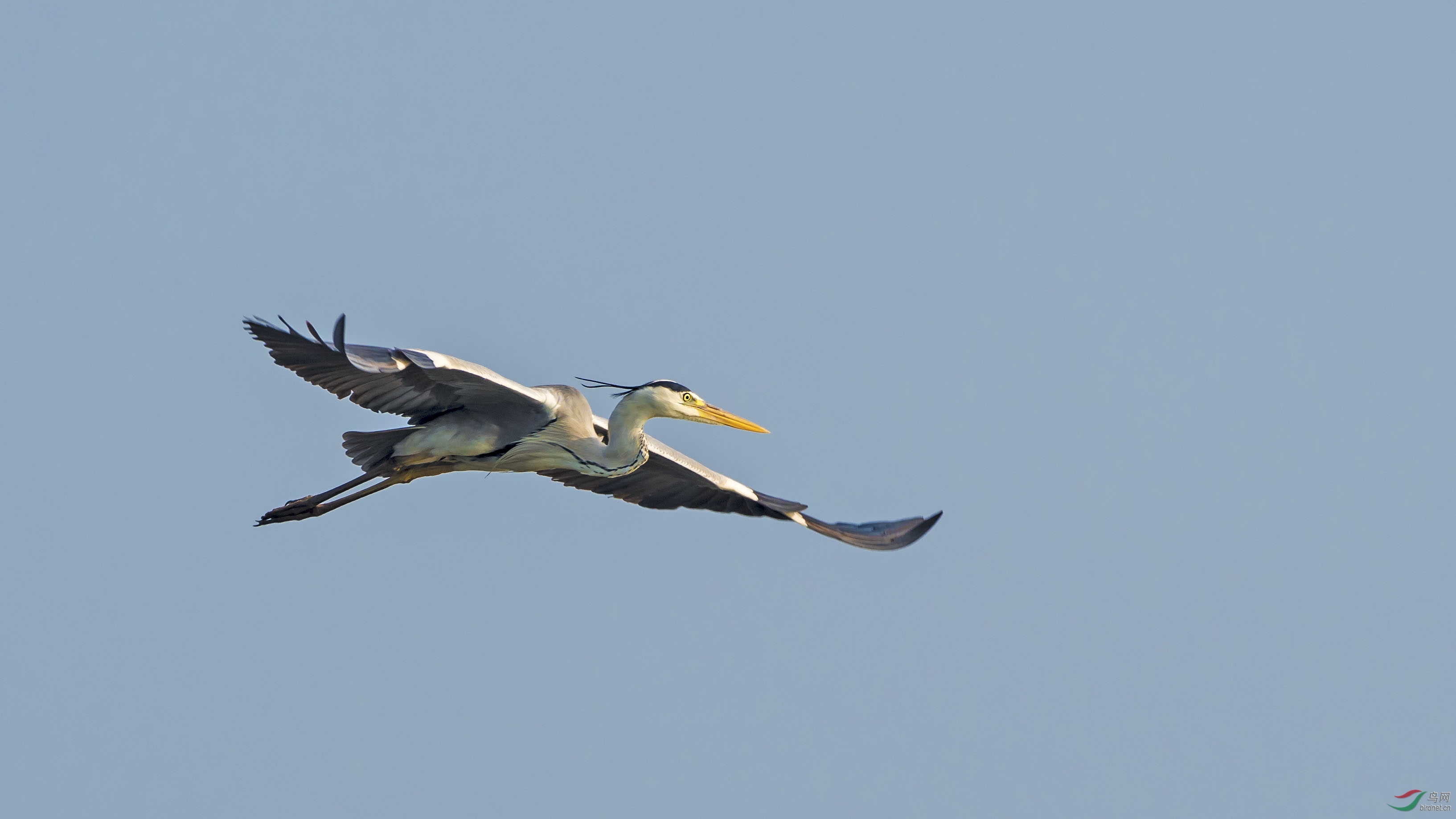 DSC_5114.jpg