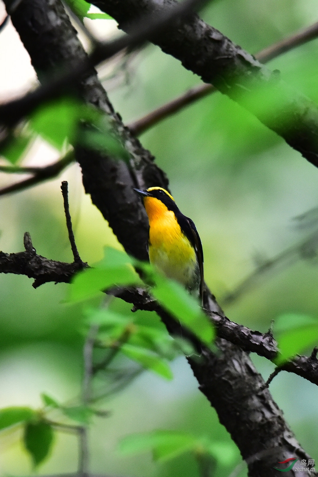 DSC_0863.JPG