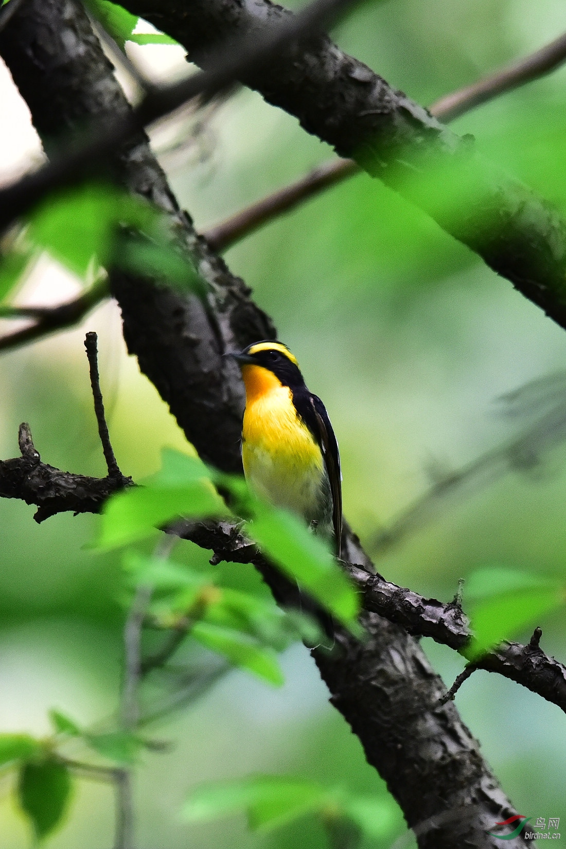 DSC_0866.JPG