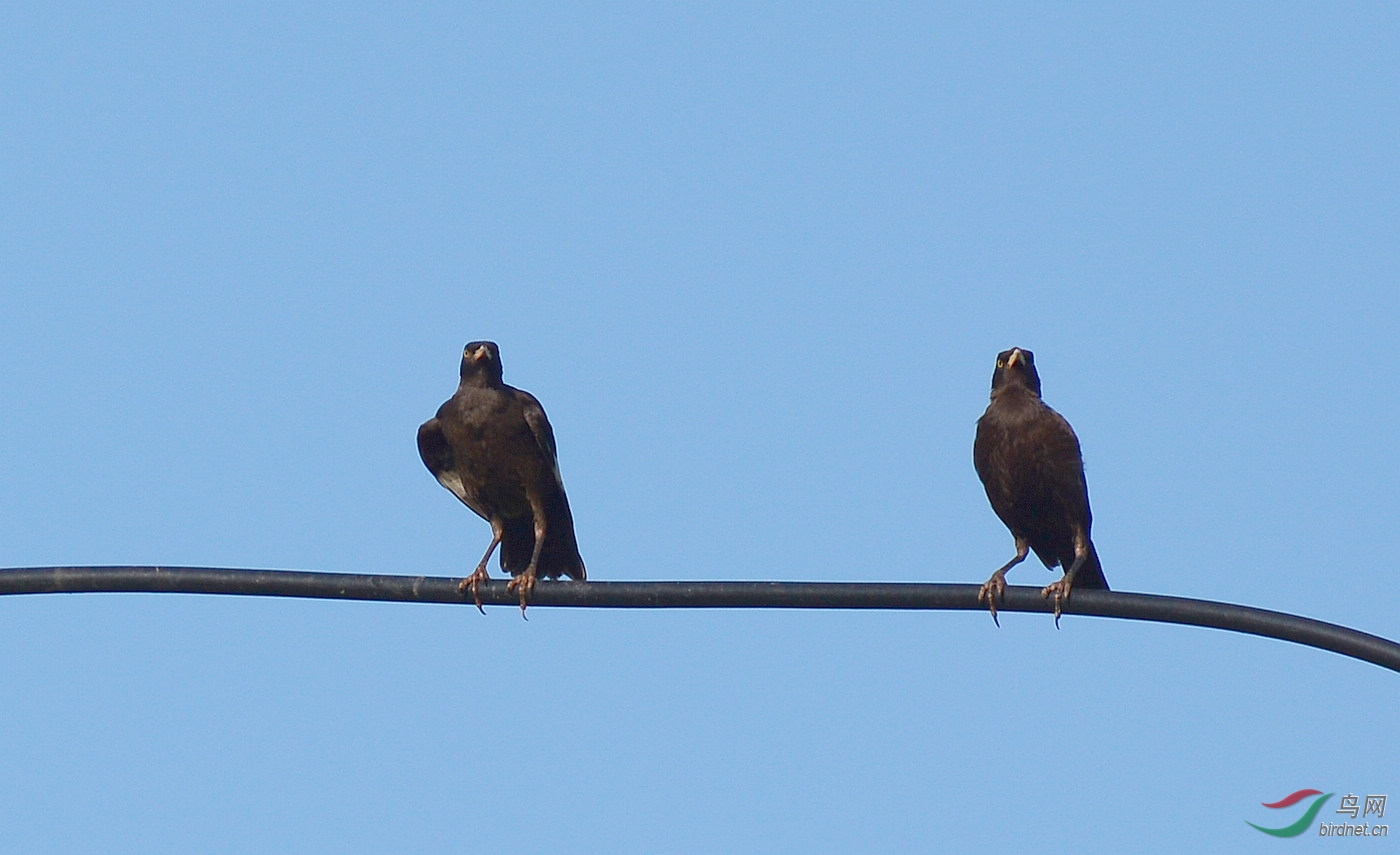 DSC_6901.JPG