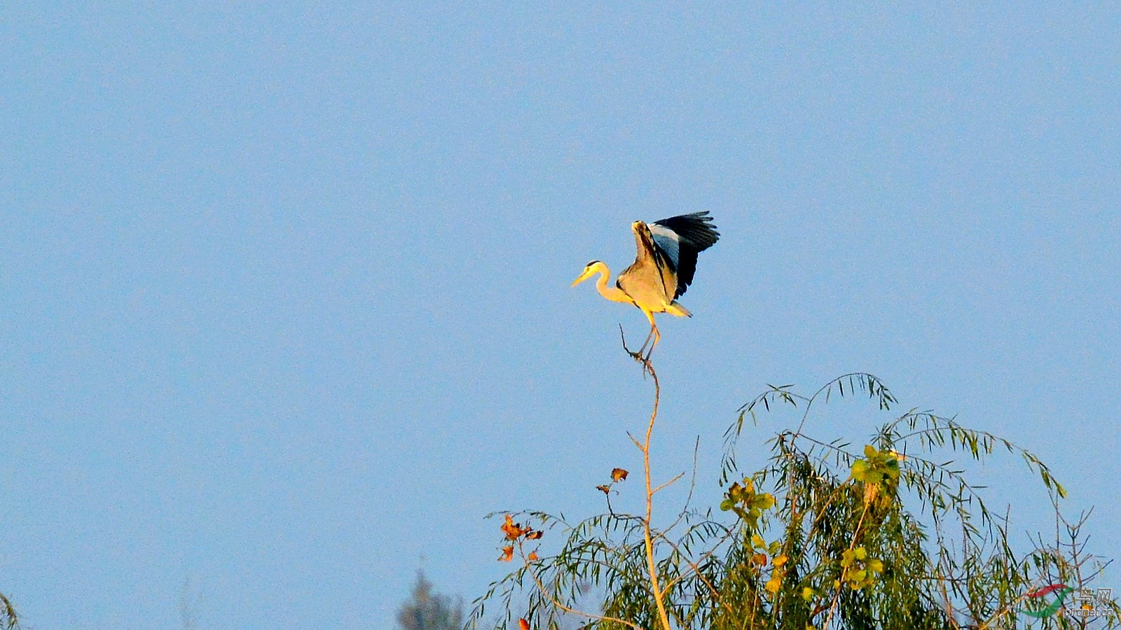 DSC_4431.JPG