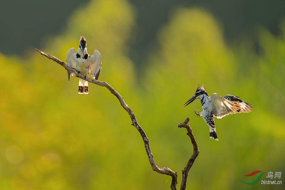 DSC_7486_DxOa.jpg