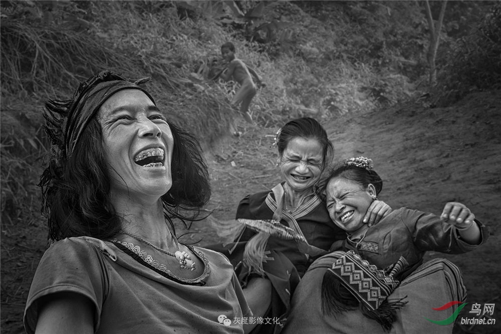 ��������Ʒ �Ҷ�Ӱ��