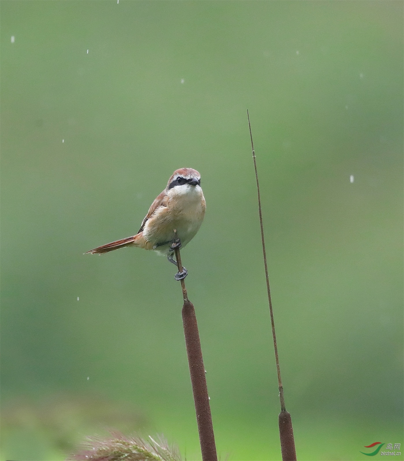 3 - ����.JPG