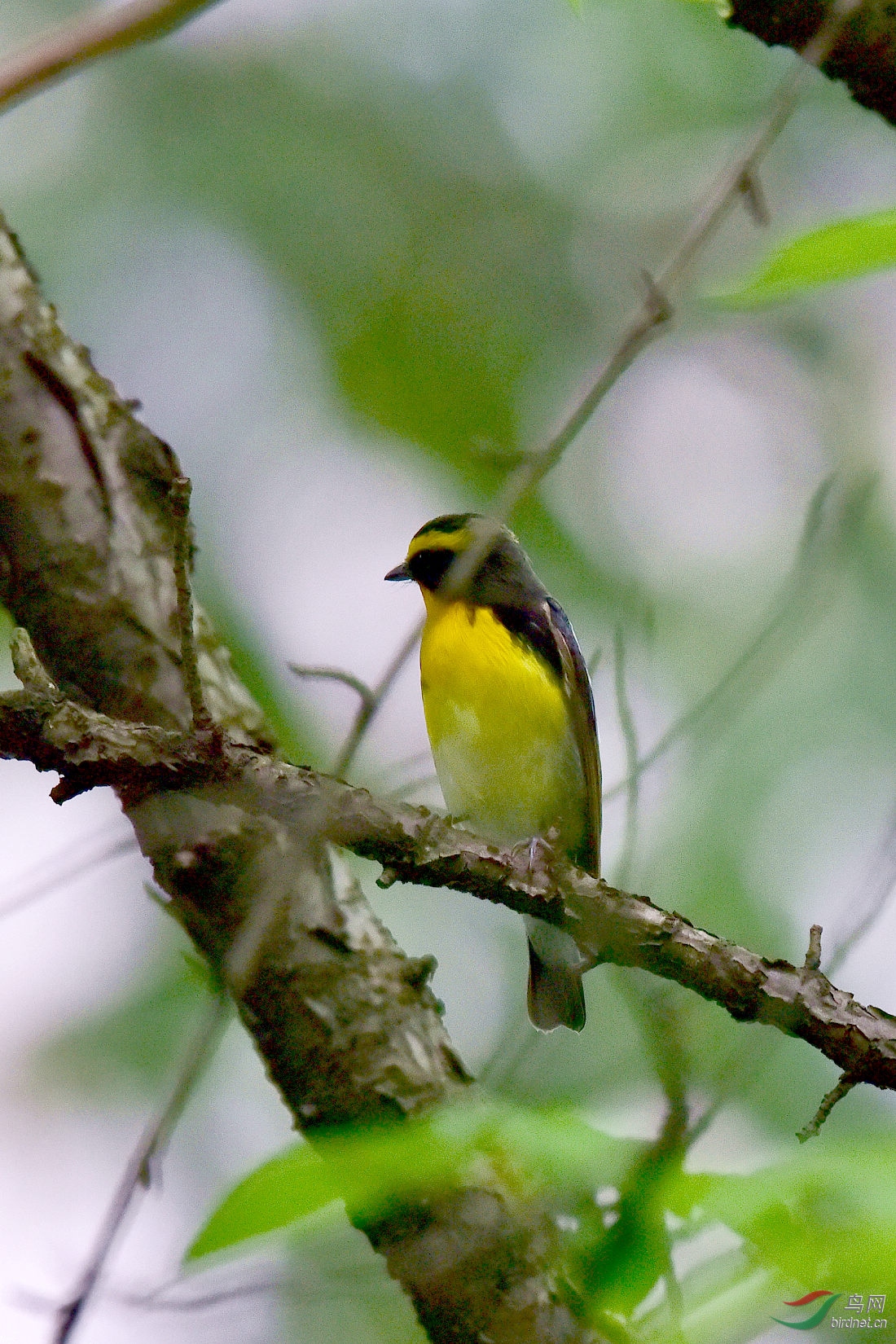 DSC_0870.JPG