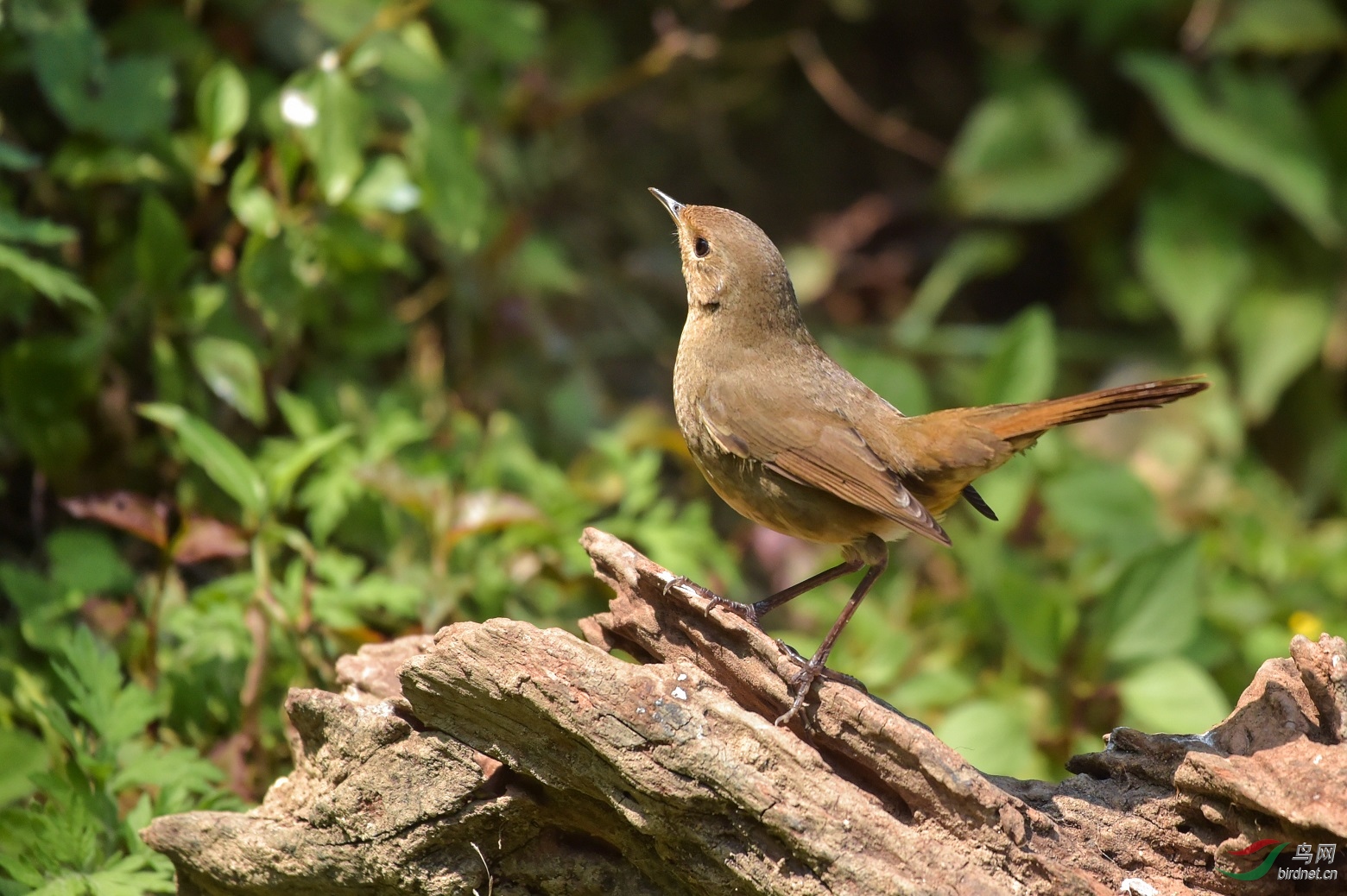 TJP_5939 - ����.jpg