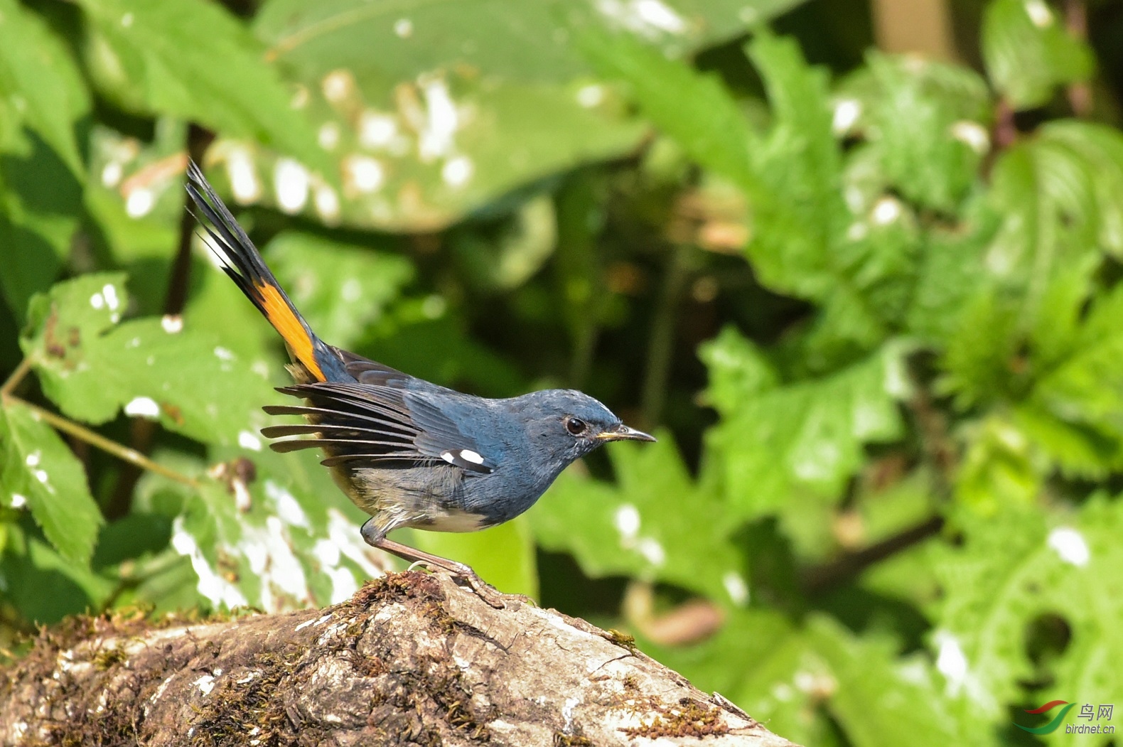 TJP_5405 - ����.jpg