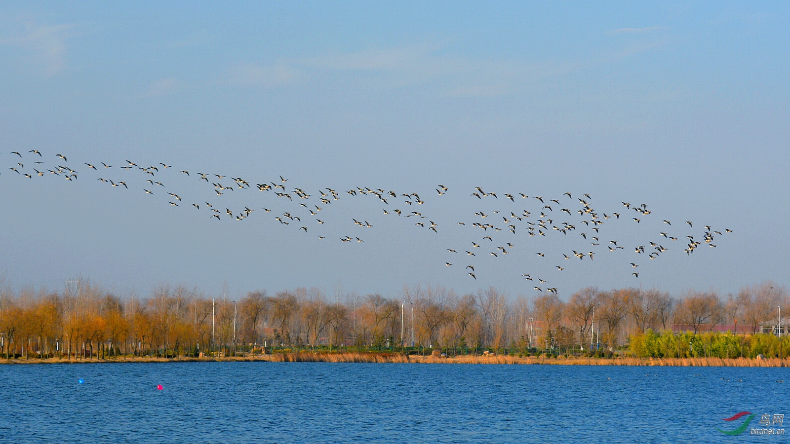 DSC_9557.JPG
