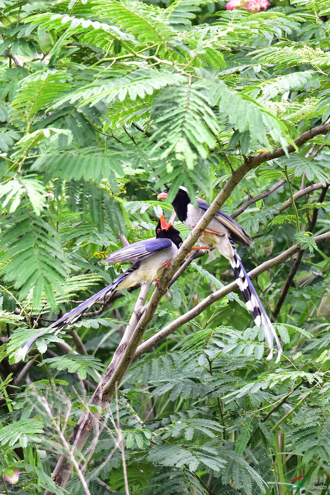 DSC_0108.JPG
