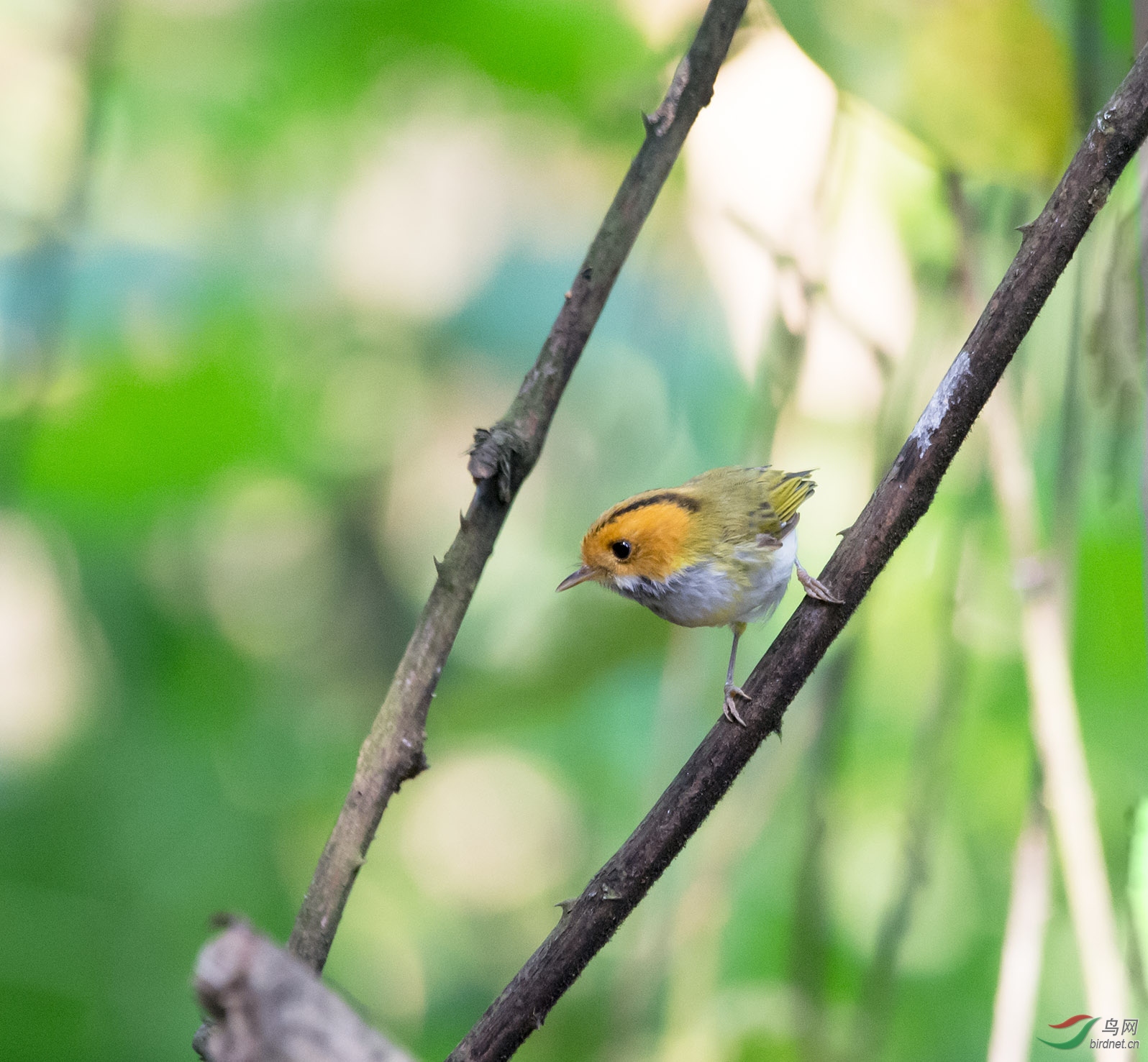 DSC_8332-1.jpg