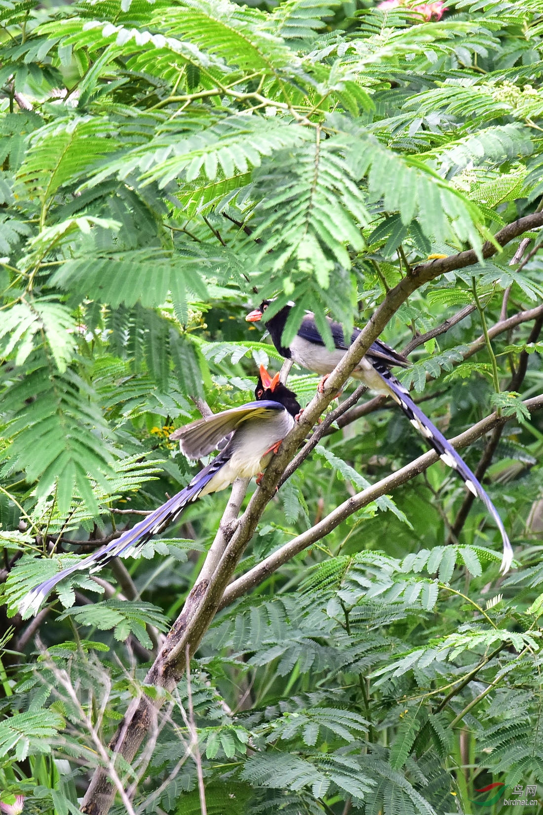DSC_0109.JPG