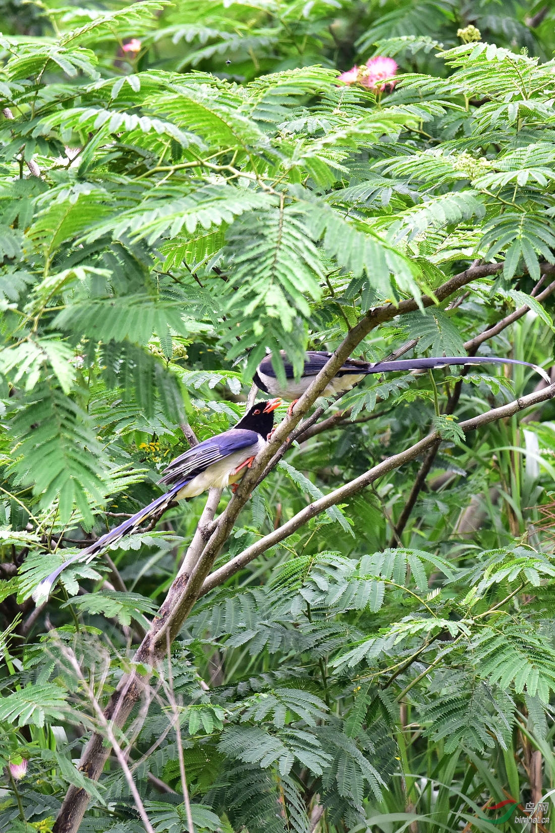DSC_0111.JPG