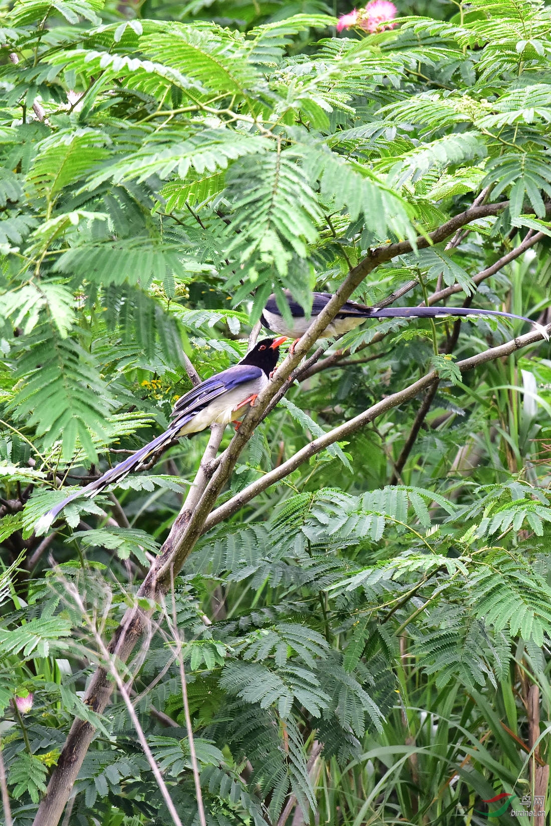 DSC_0112.JPG