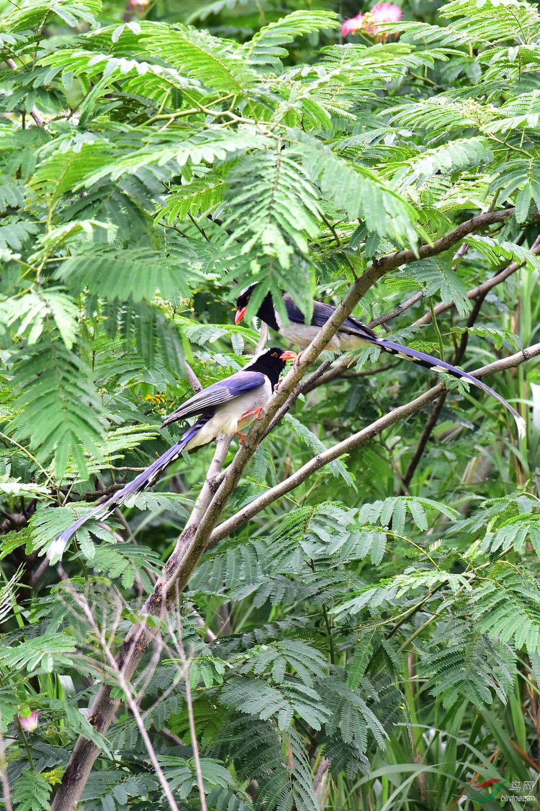 DSC_0114.JPG