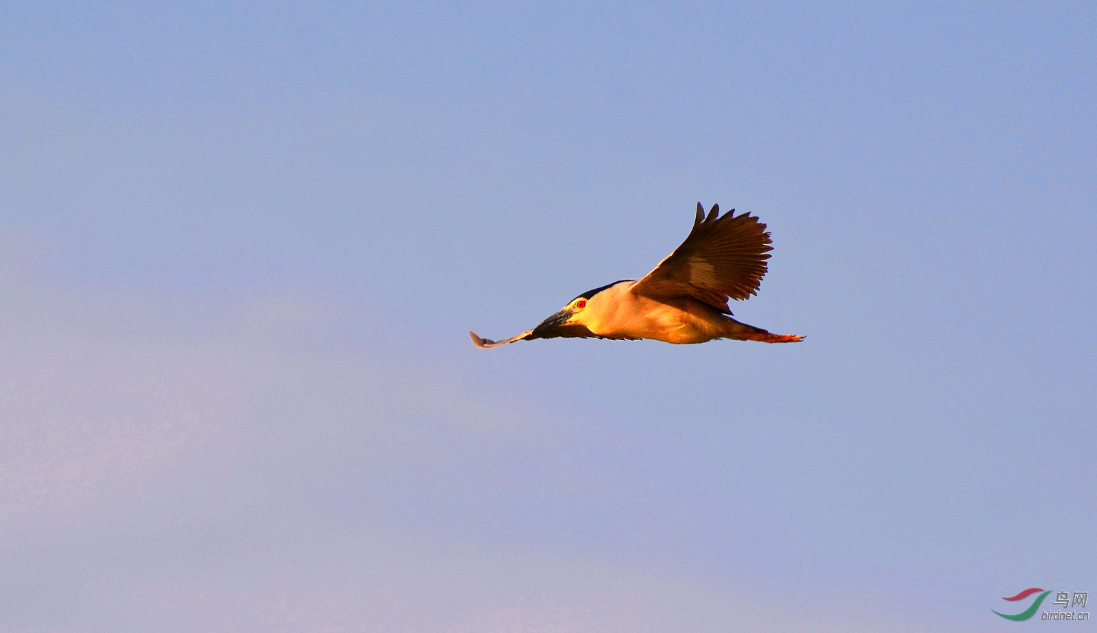 DSC_0801.JPG
