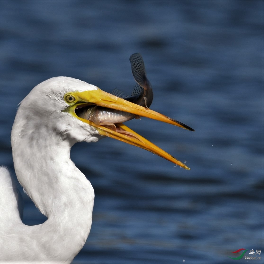 850_7231_22819 (2).JPG