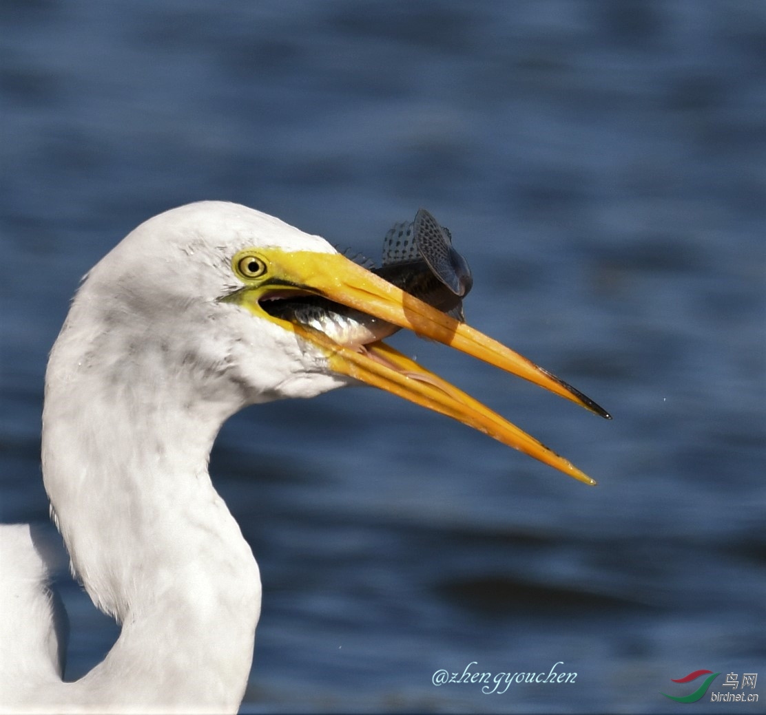 850_7233_22821 (2).JPG