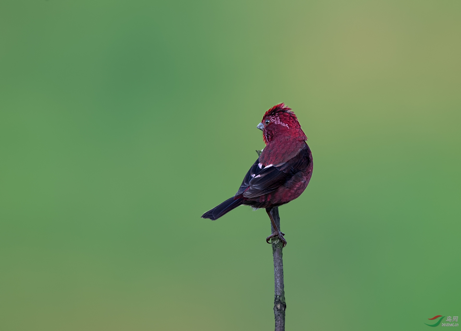 DSC_4416.jpg