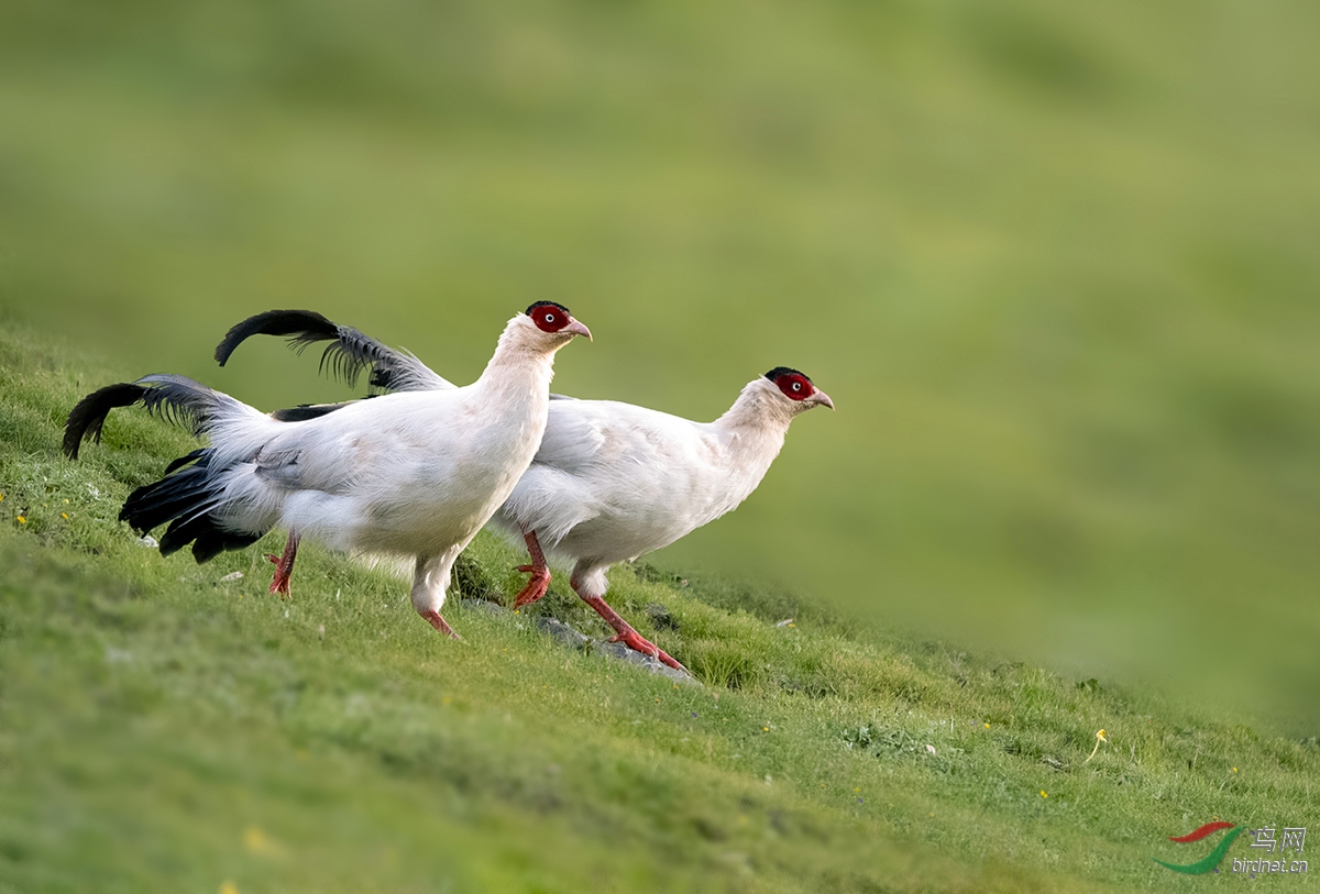 DSC_1019-1.jpg