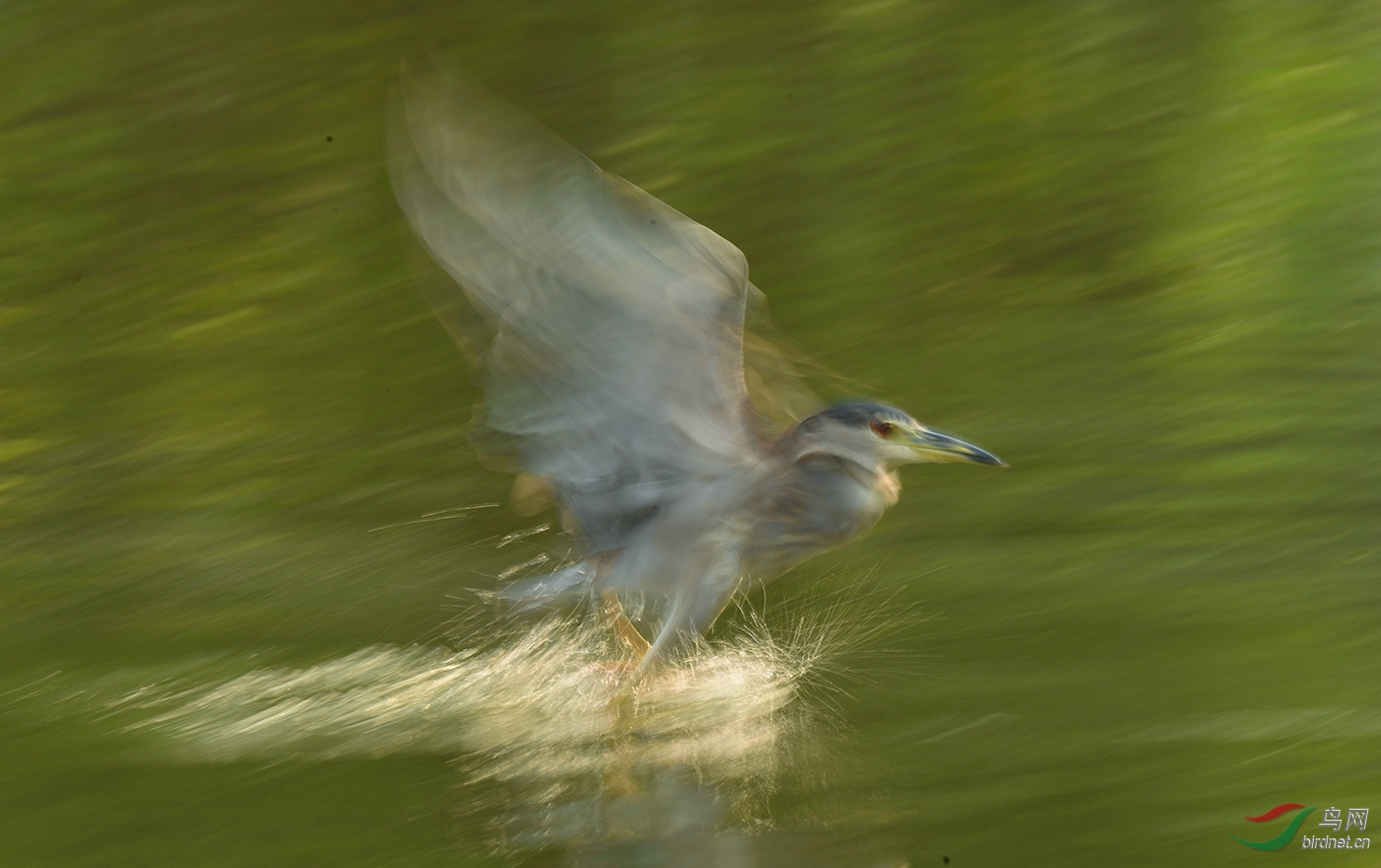 DSC_8409.jpg